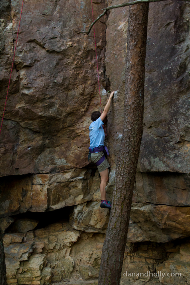 Holly Climbing